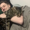 2 cats for rehoming-2