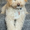 My Name Is Chester -2
