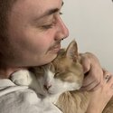 2 cats for rehoming-4