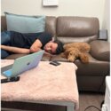 Miniature poodle neutered 9 months old-5